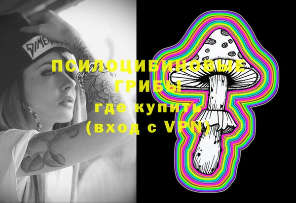 винт Аркадак