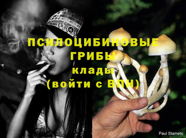 метадон Армянск