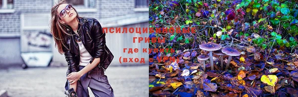 метадон Армянск