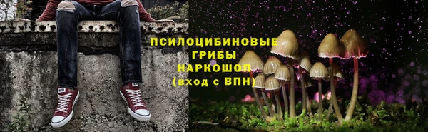 винт Аркадак