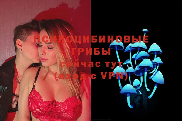 метадон Армянск