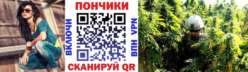 Бошки марихуана SATIVA & INDICA  Полысаево 